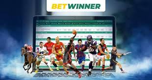 Comprehensive Guide to Betwinner Betting